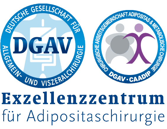 DGAV Logo Exzellenzzentrum